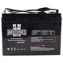 [V6-200B] 6V 225AH Battery